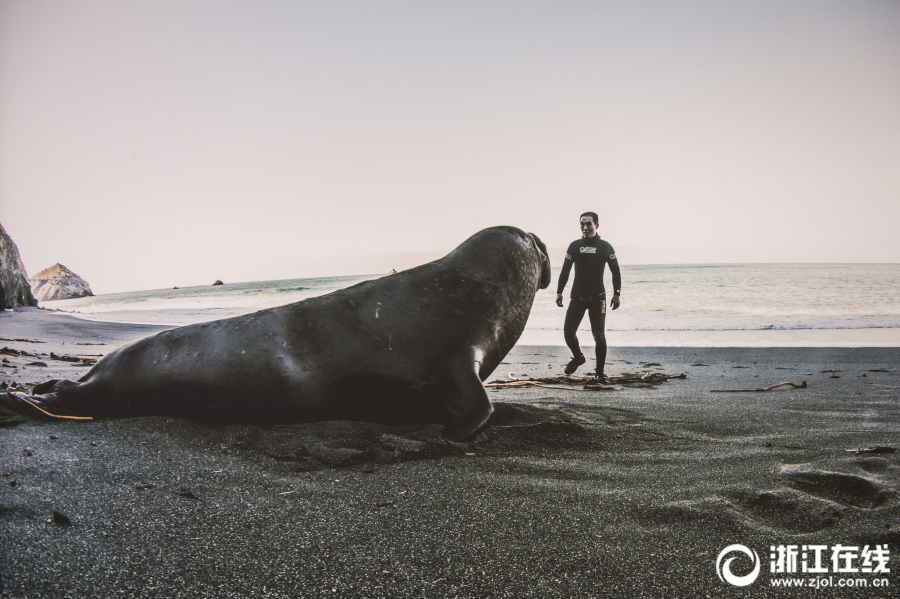 布登：要盡最大努力確保比爾被安排在合適位置 希望他更有侵略性